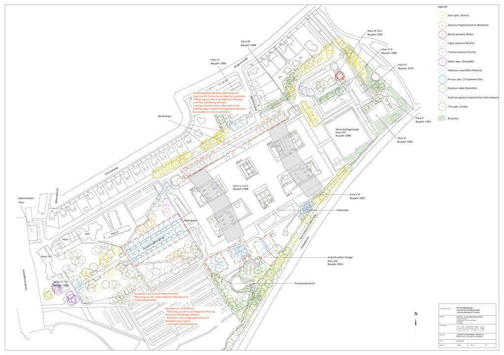 Lageplan Außenanlagen - Baumbestand Heute